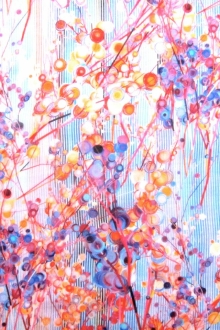 Printed Silk Chiffon0