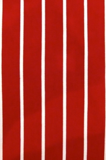 Bamboo Spandex Stripe Jersey0