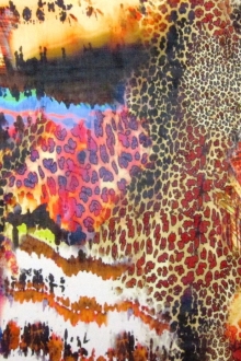 Printed Silk Chiffon0