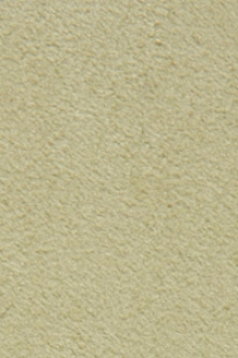 UltraSuede Soft  Celery0