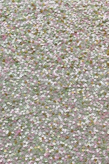 Sequins on Silk Chiffon0