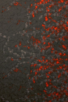 Metallic Silk Blend Lamé Organza Cloqué Panel0