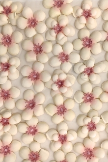 Blush Flowers Appliqued on Tulle with Lace Trim0