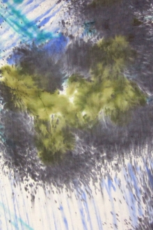 Printed Silk Chiffon0