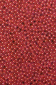 Cotton Broadcloth Print0