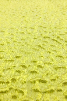 Silk Blend Organza Cloqué0