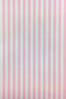 Pima Cotton Shirting Stripe in Pink0