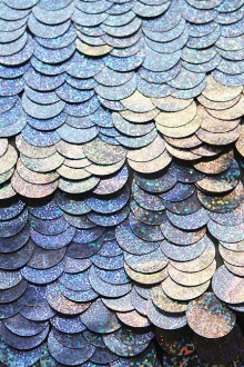 Paillettes on Silk Chiffon0