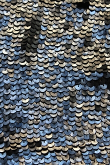 Sequins on Silk Chiffon0