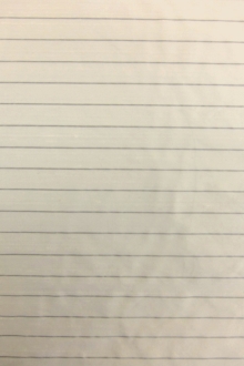 Metallic Pinstripe Silk Dupioni0