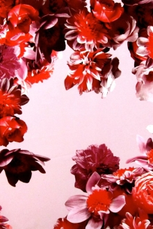 Printed Silk Mikado0