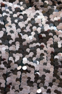 Paillettes on Silk Chiffon0