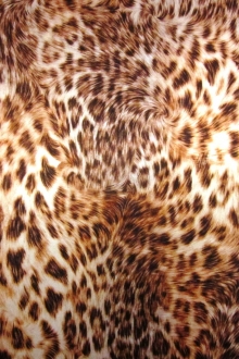 Printed Silk Charmeuse0