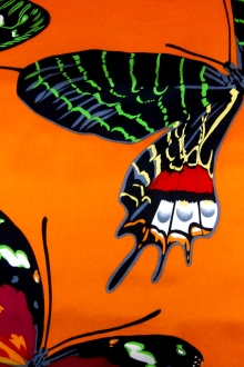 Printed Silk Charmeuse0