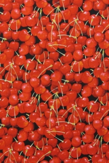 Cotton Broadcloth Print0