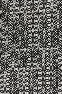 Printed Silk Charmeuse0