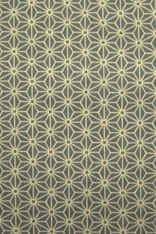 Japanese Cotton Print0