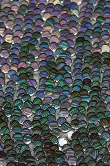 Paillettes on Silk Chiffon0