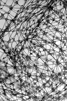 Birdcage Net in Black0