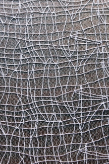 Embroidered Souffle0