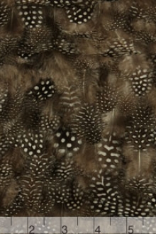 Feathers on Chiffon0