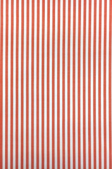 Pima Cotton Shirting Stripe in Orange0