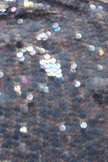 Novelty Paillettes on Silk Chiffon0