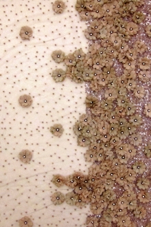 Crystal Beaded Tulle with Flower Appliqué0