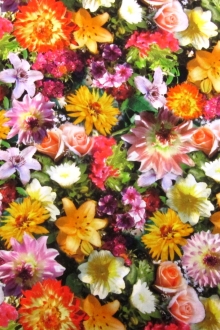 Printed Silk Charmeuse0