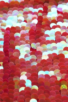 Novelty Pailettes on Silk Chiffon0