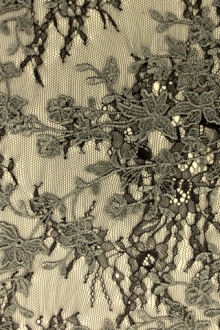 Embroidered Chantilly Lace0