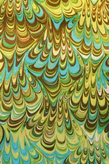 Printed Silk Charmeuse1