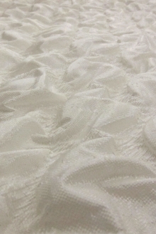 Silk Blend Organza Cloqué0