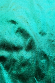 Tissue Lamé in Pine0