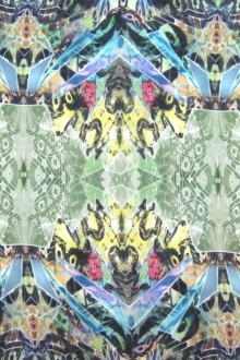 Printed Silk Chiffon0