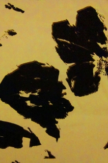 Printed Silk Taffeta0