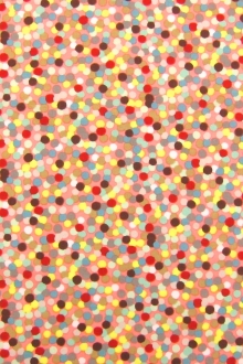 Cotton Broadcloth Print0