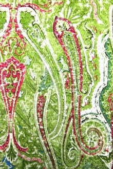 Printed Silk Charmeuse0