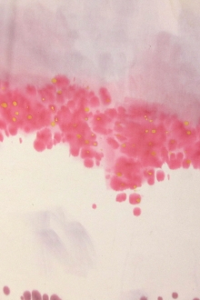 Hand Painted Silk Chiffon0