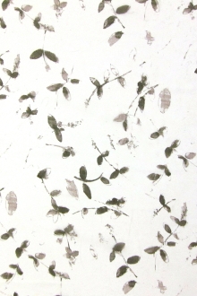 Printed Silk Chiffon0