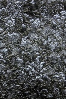 Silk Blend Metallic Organza Cloqué0