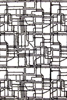 Cotton Broadcloth Print0