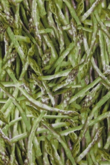 Cotton Broadcloth Print0