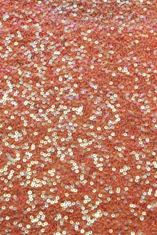 Sequins on Silk Chiffon0