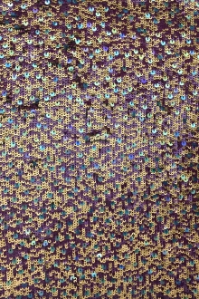 Variation of Sequins on Silk Chiffon0