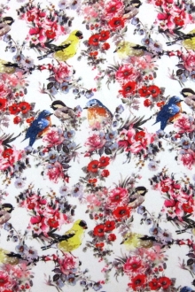 Printed Silk Charmeuse0