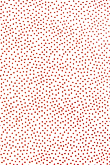 Cotton Broadcloth Print0