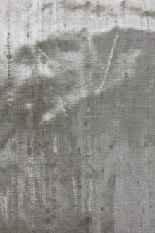 Metallic Silk Shantung0