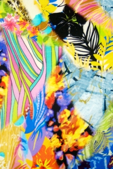 Printed Silk Charmeuse0