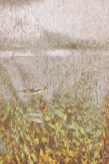 Stretch Hologram Lamé0